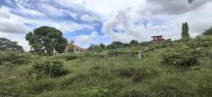 Kiwanja Kinauzwa Bunju
