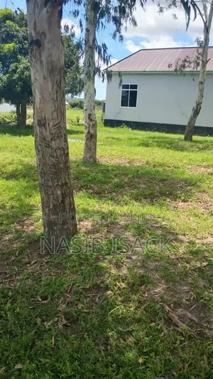 Plot for Sale Mwanza