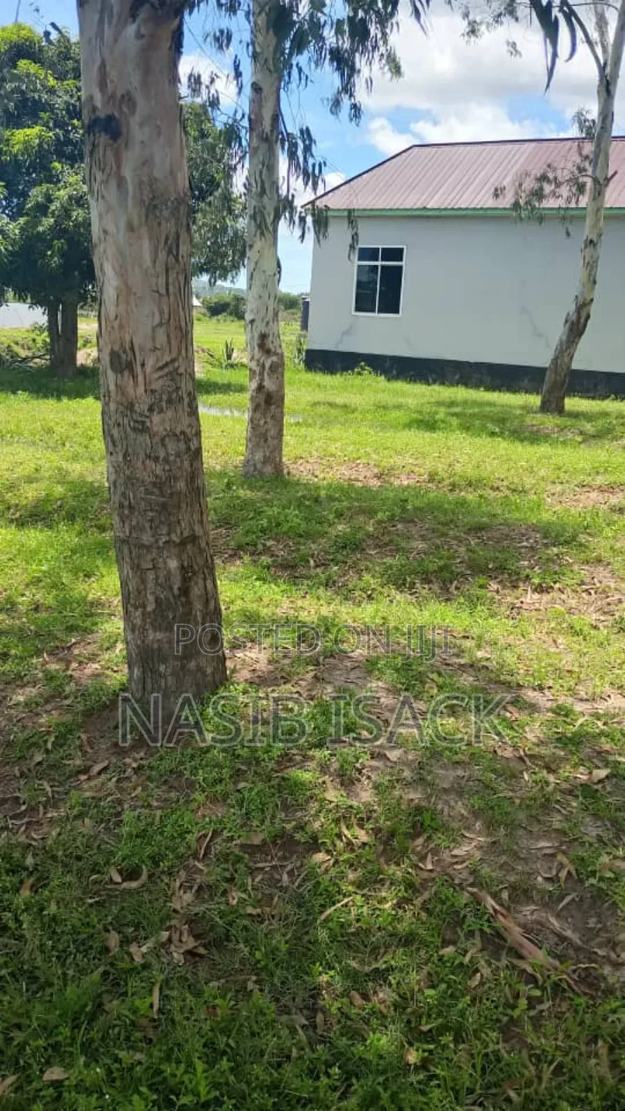 Plot for Sale Mwanza