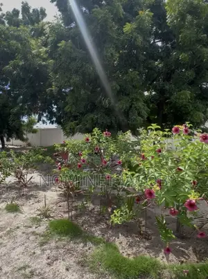 4bdrm House in Mbezi Beach for sale