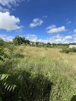 Mbweni Mpiji
