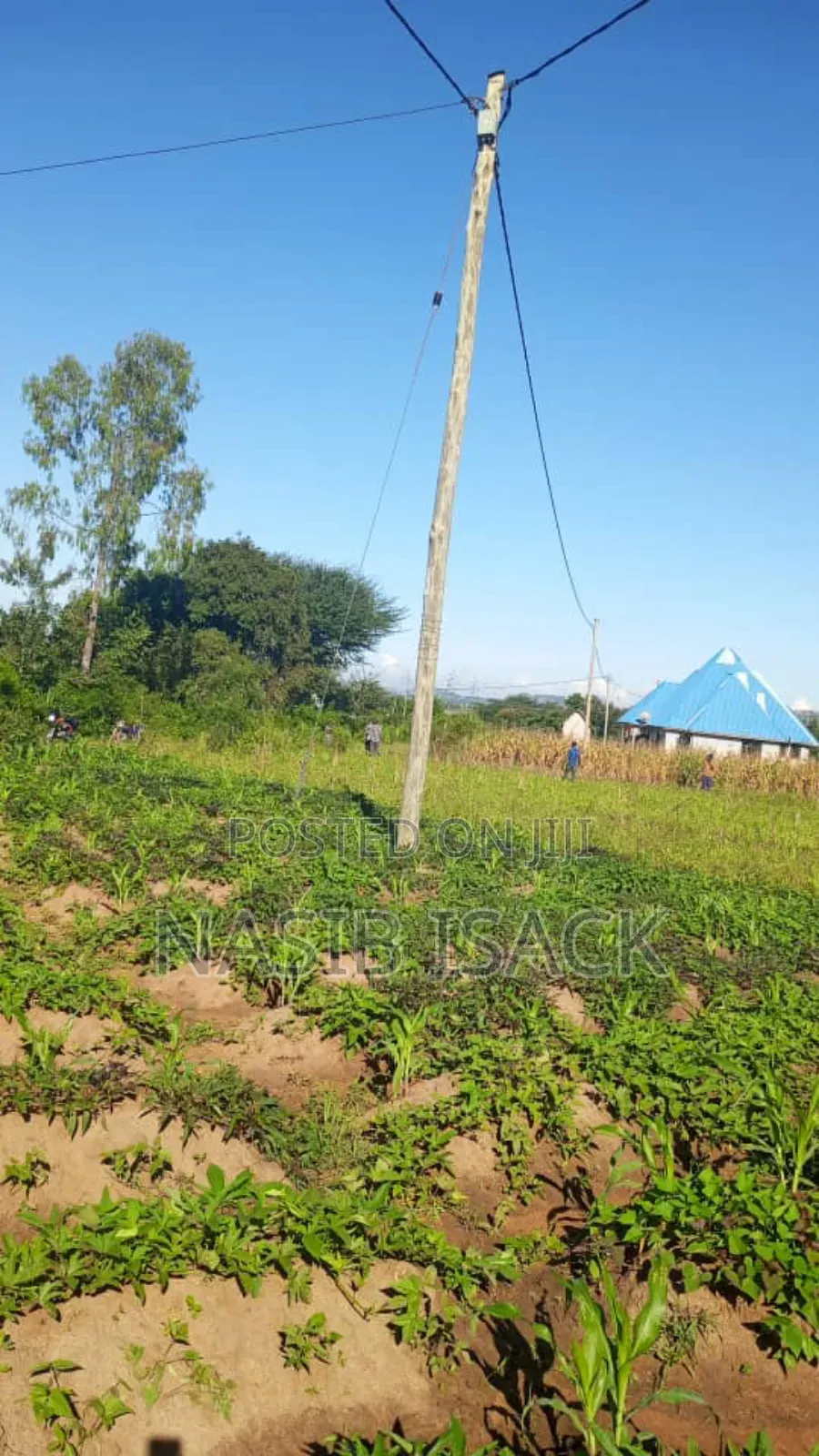 Kwanja Kinauzwa Mwanza-Fera