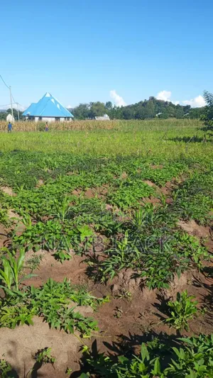 Kwanja Kinauzwa Mwanza-Fera