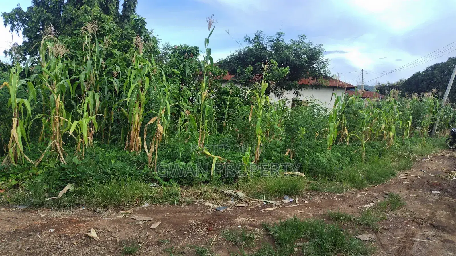 7bdrm Apartment in Kasumulu Boarder, Kyela for sale