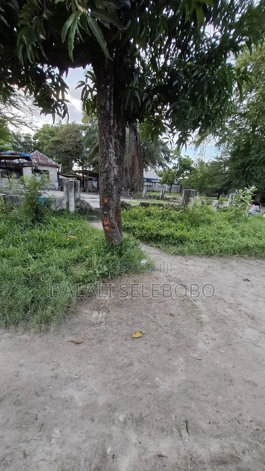 Yard at Buguruni Mwananchiii