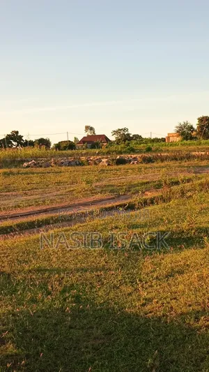 Plot For Sale Mwanza