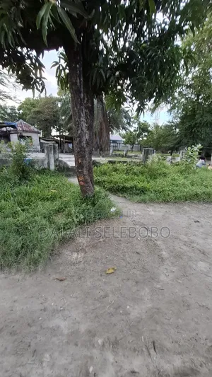 Dry Port Mwananchi Potentially Area Nice Investment
