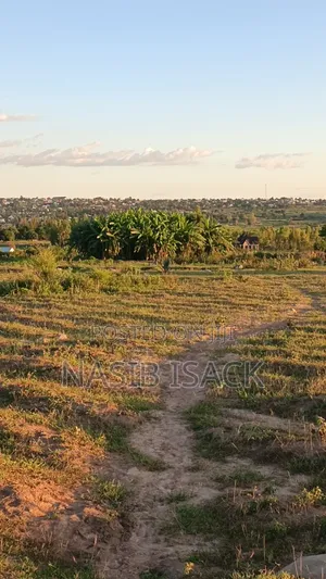 Plot for Sale Mwanza