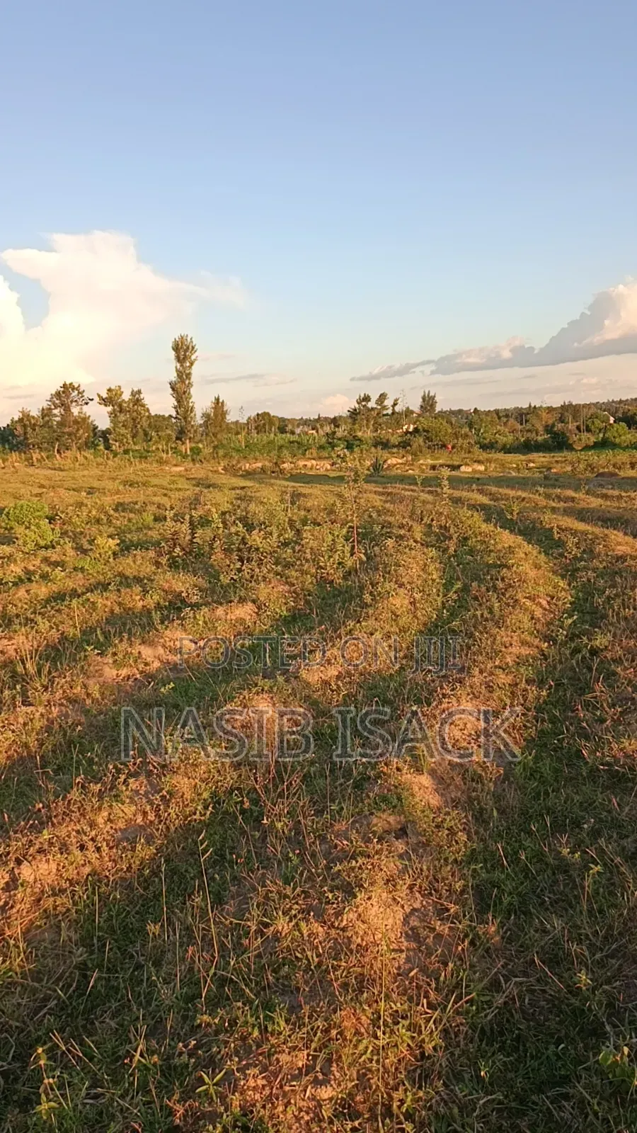 Kiwanja Kinauzwa Mwanza Ilalila