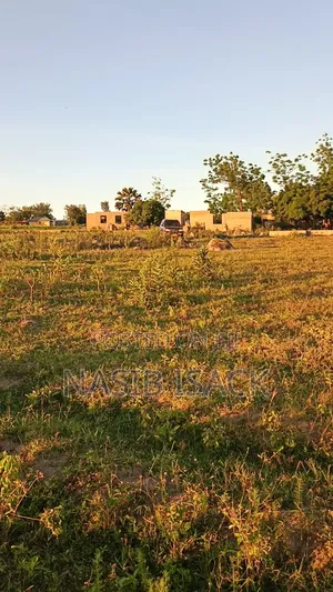 Kiwanja Kinauzwa Mwanza Ilalila