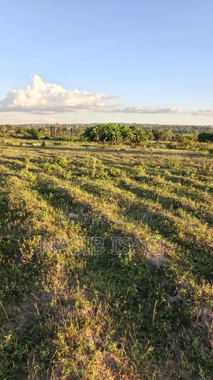 Plot For Sale