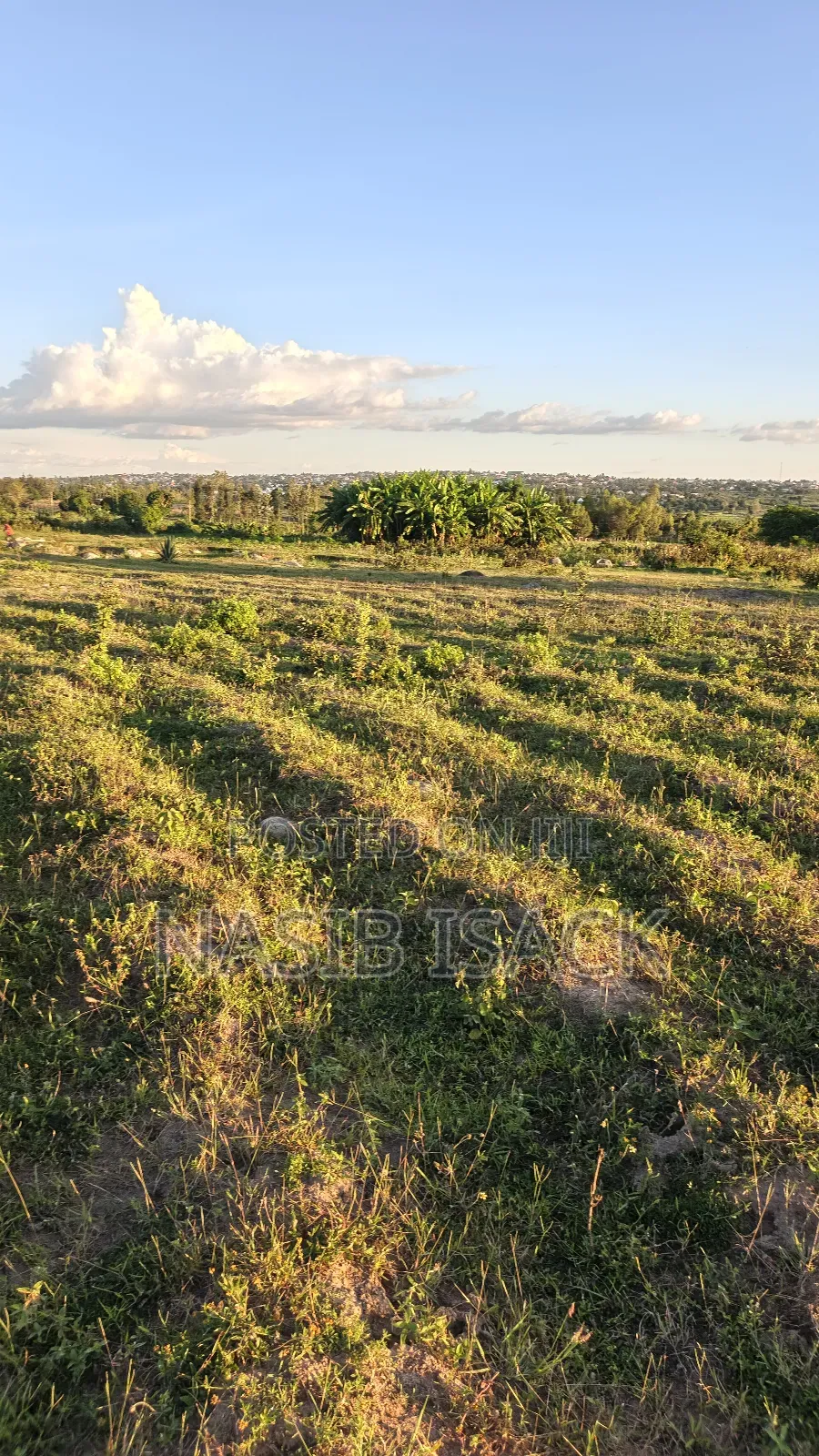 Plot For Sale