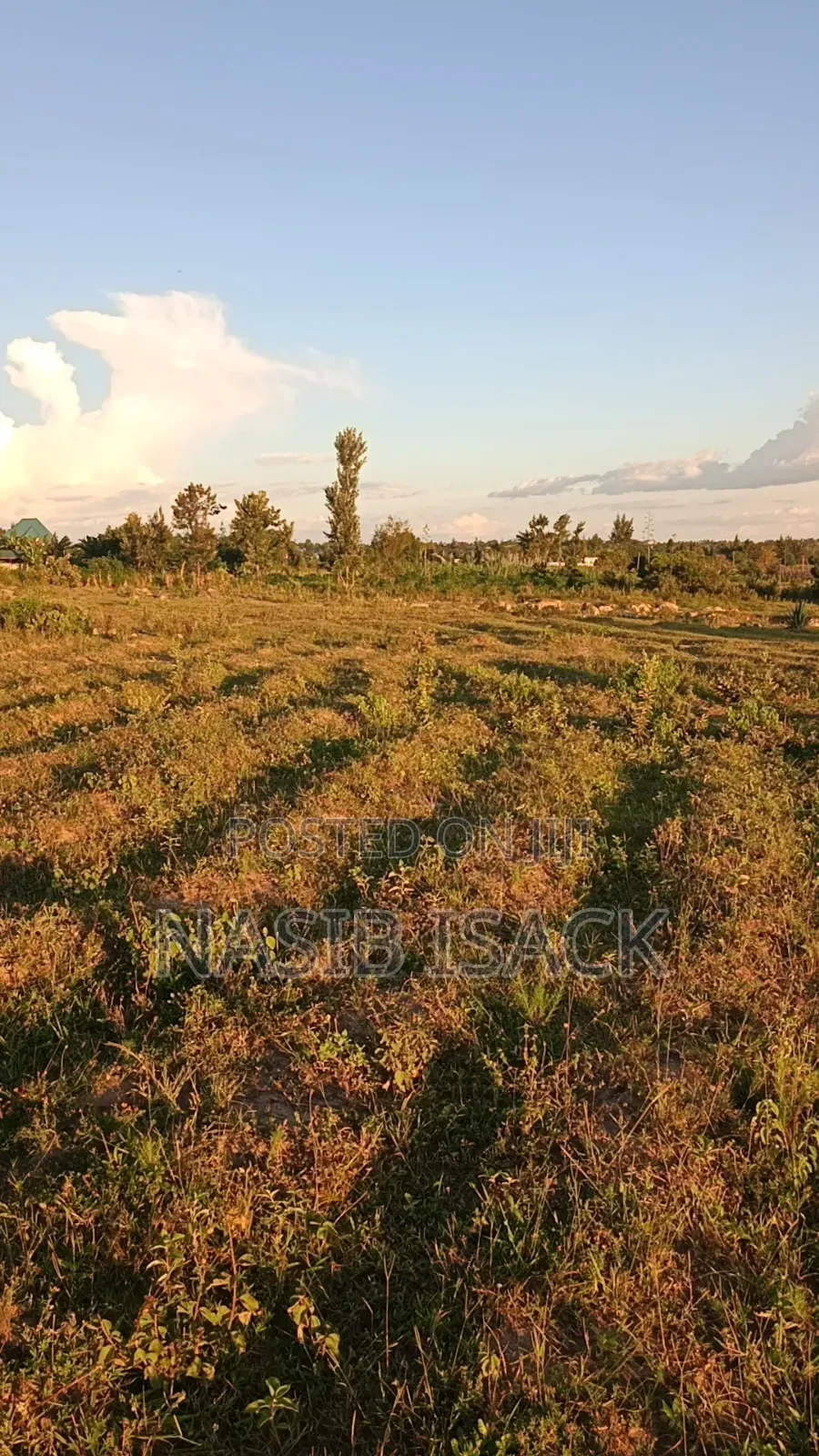 Plot For Sale