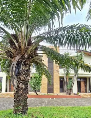 Furnished 8bdrm House in Mikocheni for rent