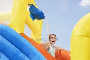 Inflatable Water Slide Jumping Castle Double Slide Fo Pool Playground