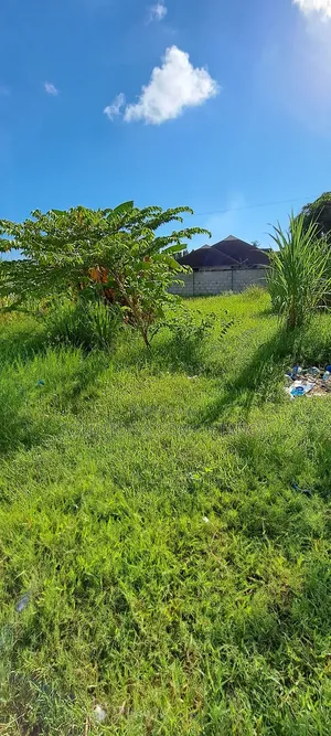 Kiwanja Kinauzwa Bahari Beach