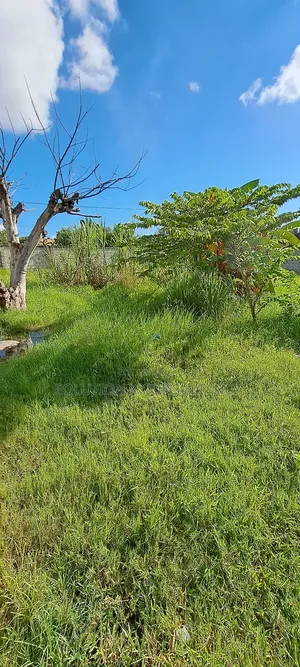 Kiwanja Kinauzwa Bahari Beach
