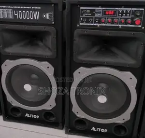 Alitop Proffesional Speaker