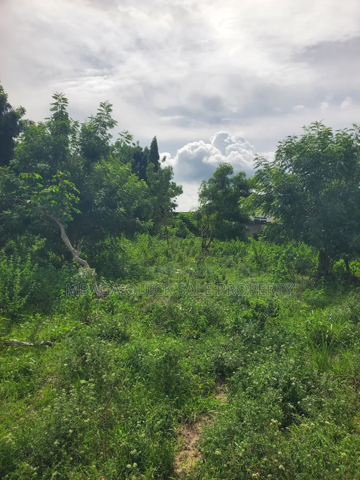 Plot Area SQM 1019 for Sale Located at Madale Atras