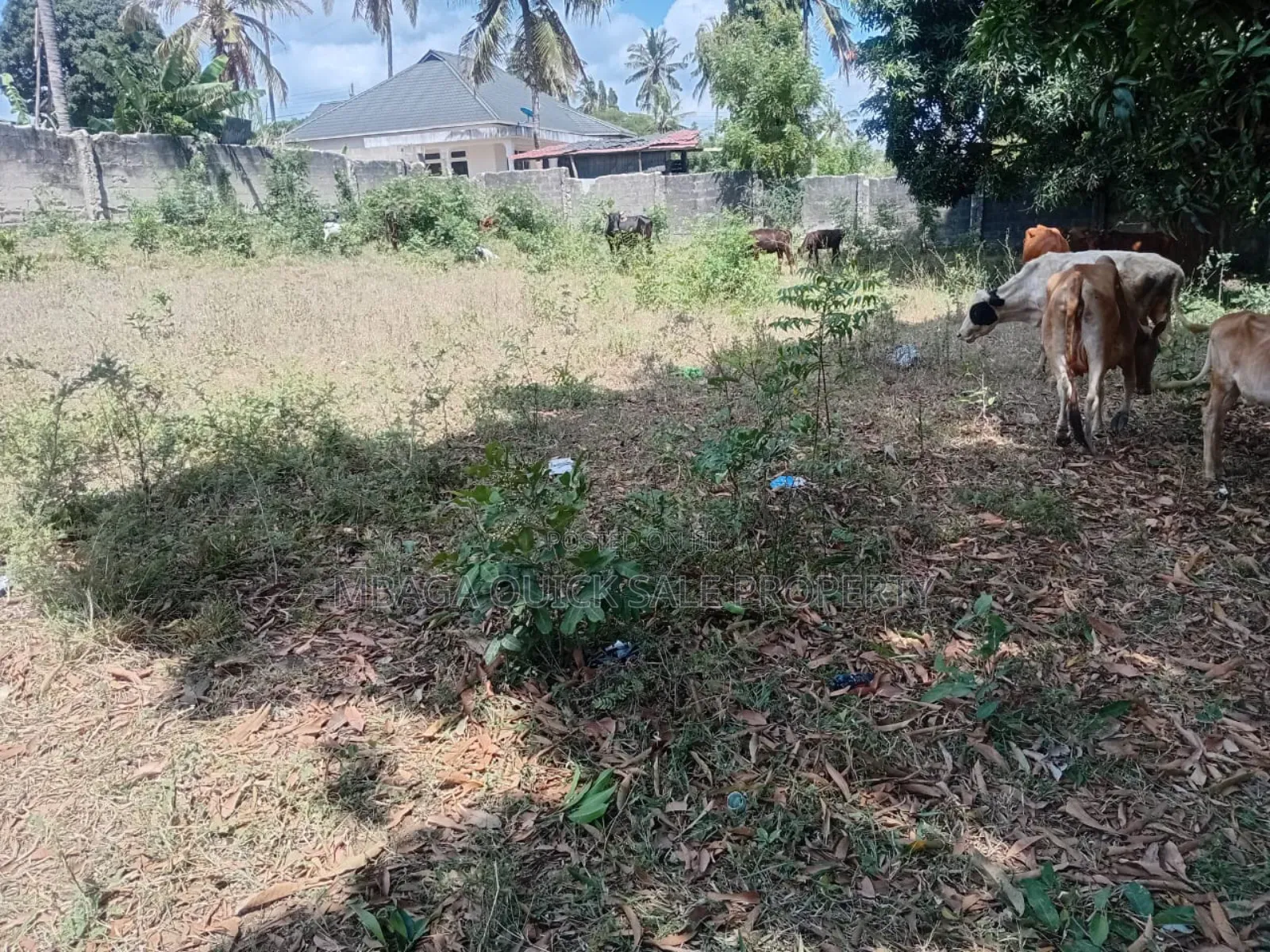 Plot Areq SQM 1000 for Sale at Bunju B