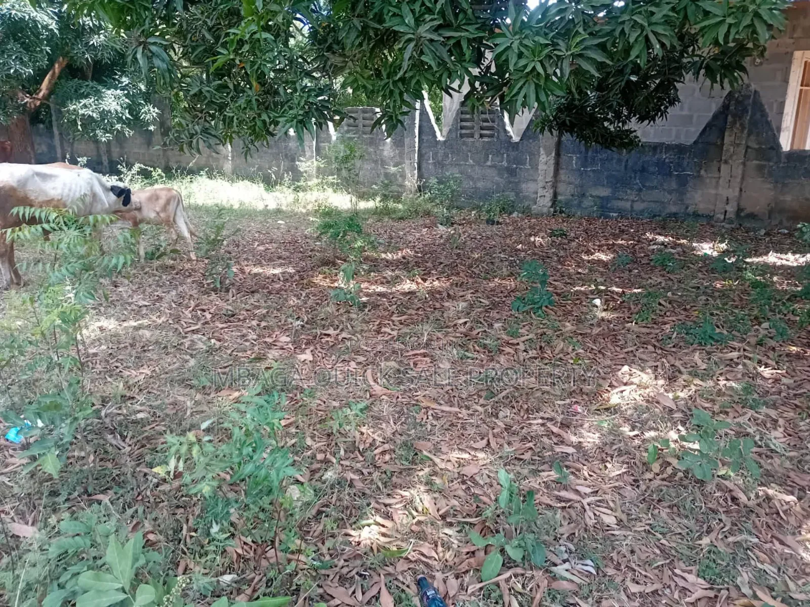 Plot Areq SQM 1000 for Sale at Bunju B
