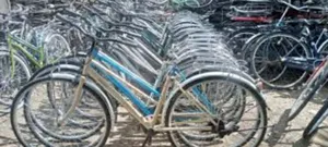 Kamongo Bicycle