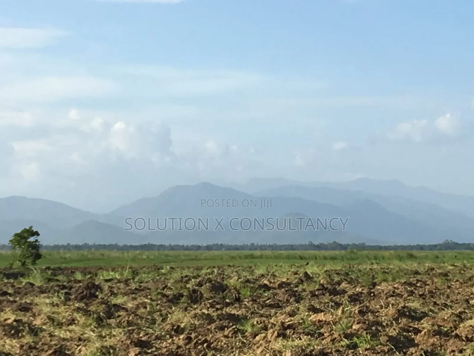 Farm Land With Teak Trees, Mango Trees for Sale at Morogoro - Ifakara