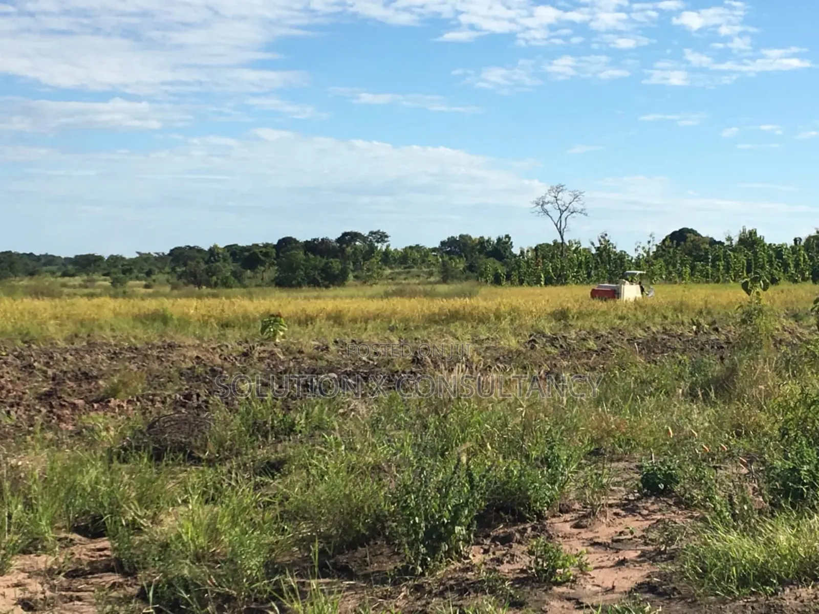 Farm Land With Teak Trees, Mango Trees for Sale at Morogoro - Ifakara