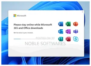 Microsoft Office 2024 Professional Plus ( Online Install )