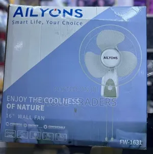 16-Inches Ailyons Wall Fan (Fw-1631)