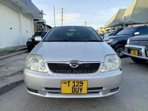 Toyota Corolla RunX 2002 Silver