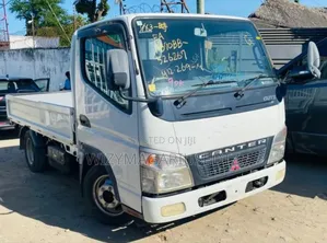 Mitsubishi Canter Guts