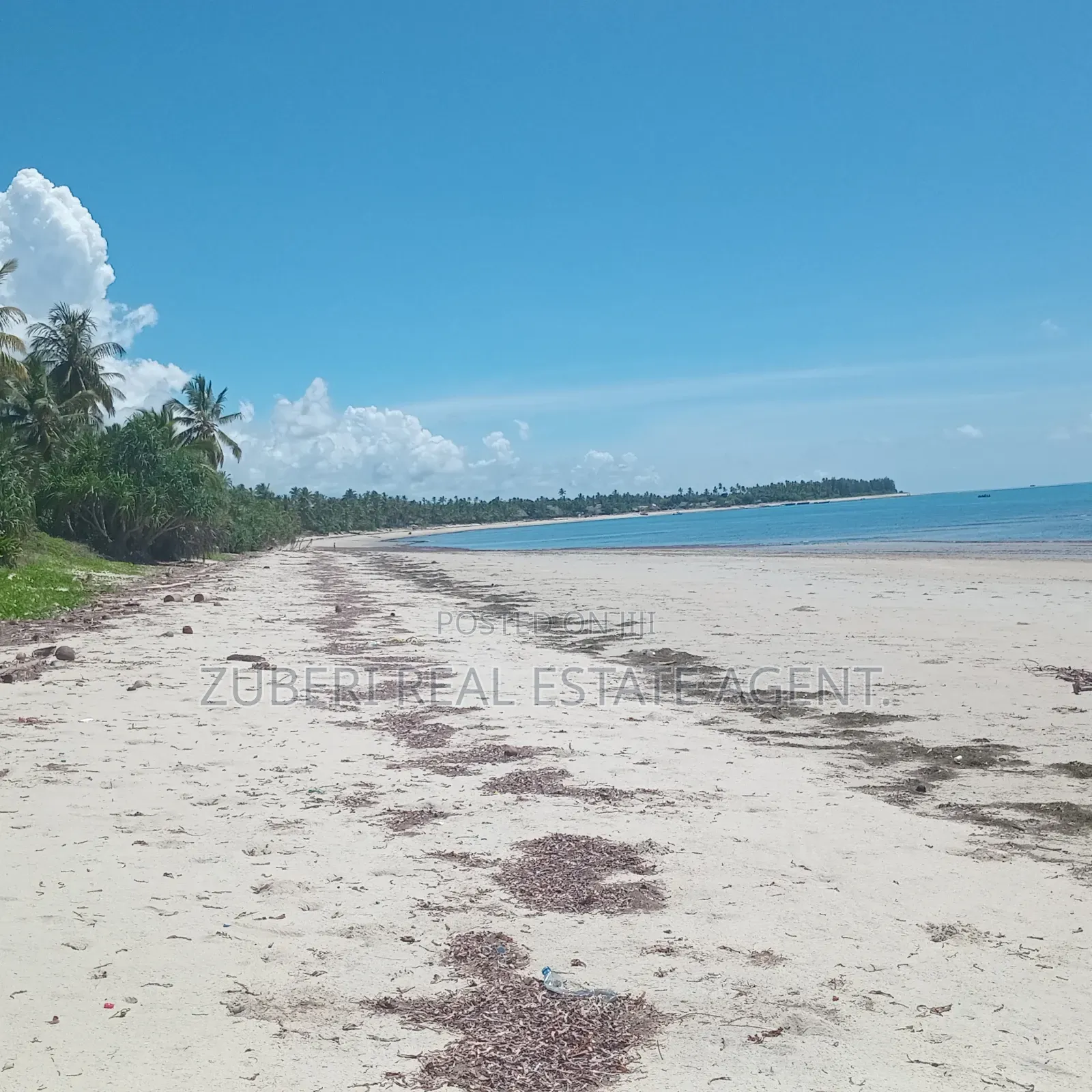 Beach Plot on Sale Ushongo Pangani Tanga.