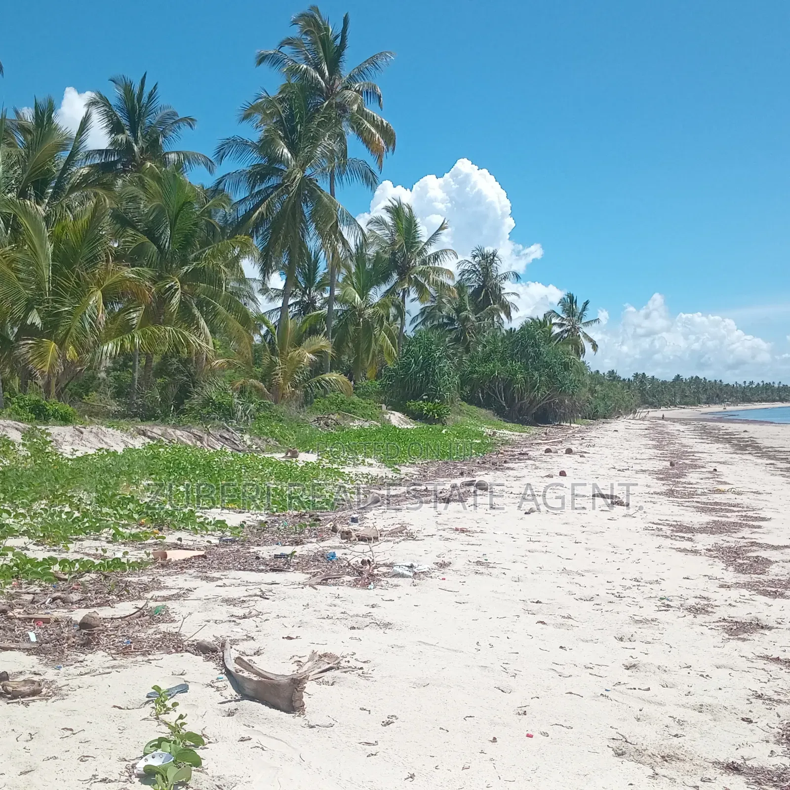Beach Plot on Sale Ushongo Pangani Tanga.
