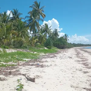 Beach Plot on Sale Ushongo Pangani Tanga.