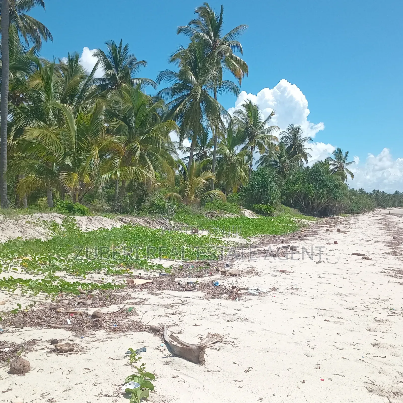 Beach Plot on Sale Ushongo Pangani Tanga.