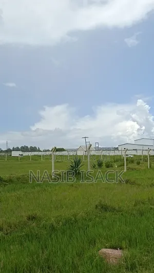 Plot for Sale Square Meters 60600