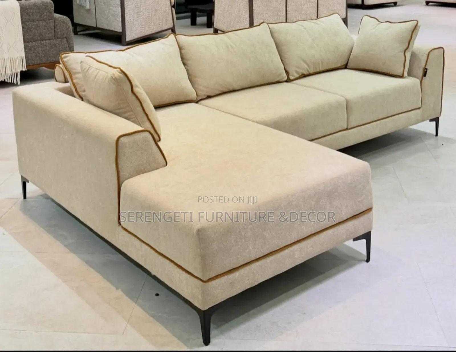 Morden L Shaped Sofa Set