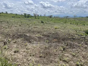 Shamba Linauzwa Kiwangwa Eka 20