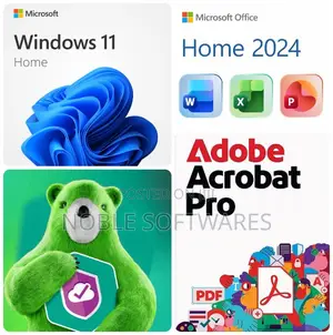 Windows 11 Home + Microsoft Office 2024 Home + Other Softwares