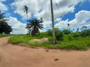 Eneo Linauzwa Kigamboni Mikwambe