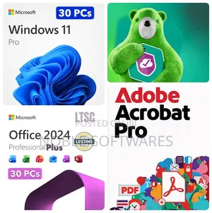 Windows 11 Pro + Microsoft Office 2024 + Kaspersky ( 30 User )
