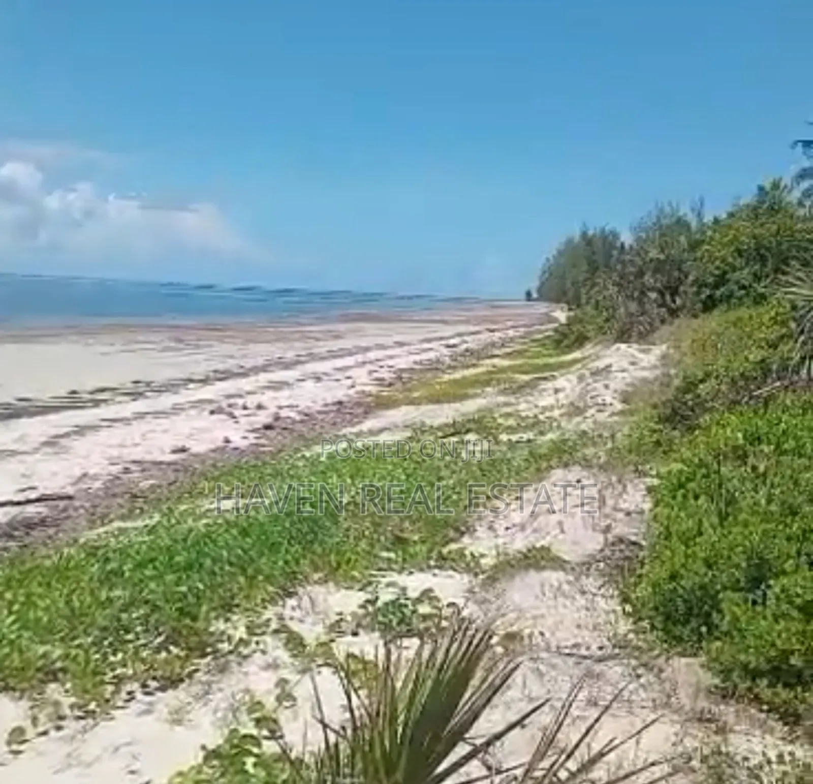 Prime Beach Plot for Sale at Ushongo Pangani