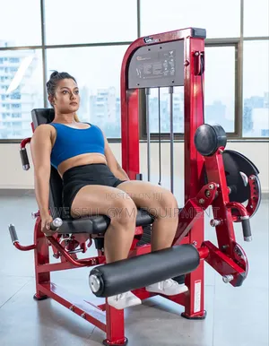 Leg Curl Leg Extension Machine 2 in 1