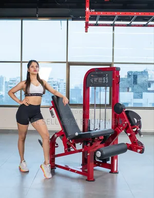 Leg Curl Leg Extension Machine 2 in 1