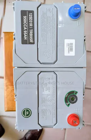 Globatt Battery N95