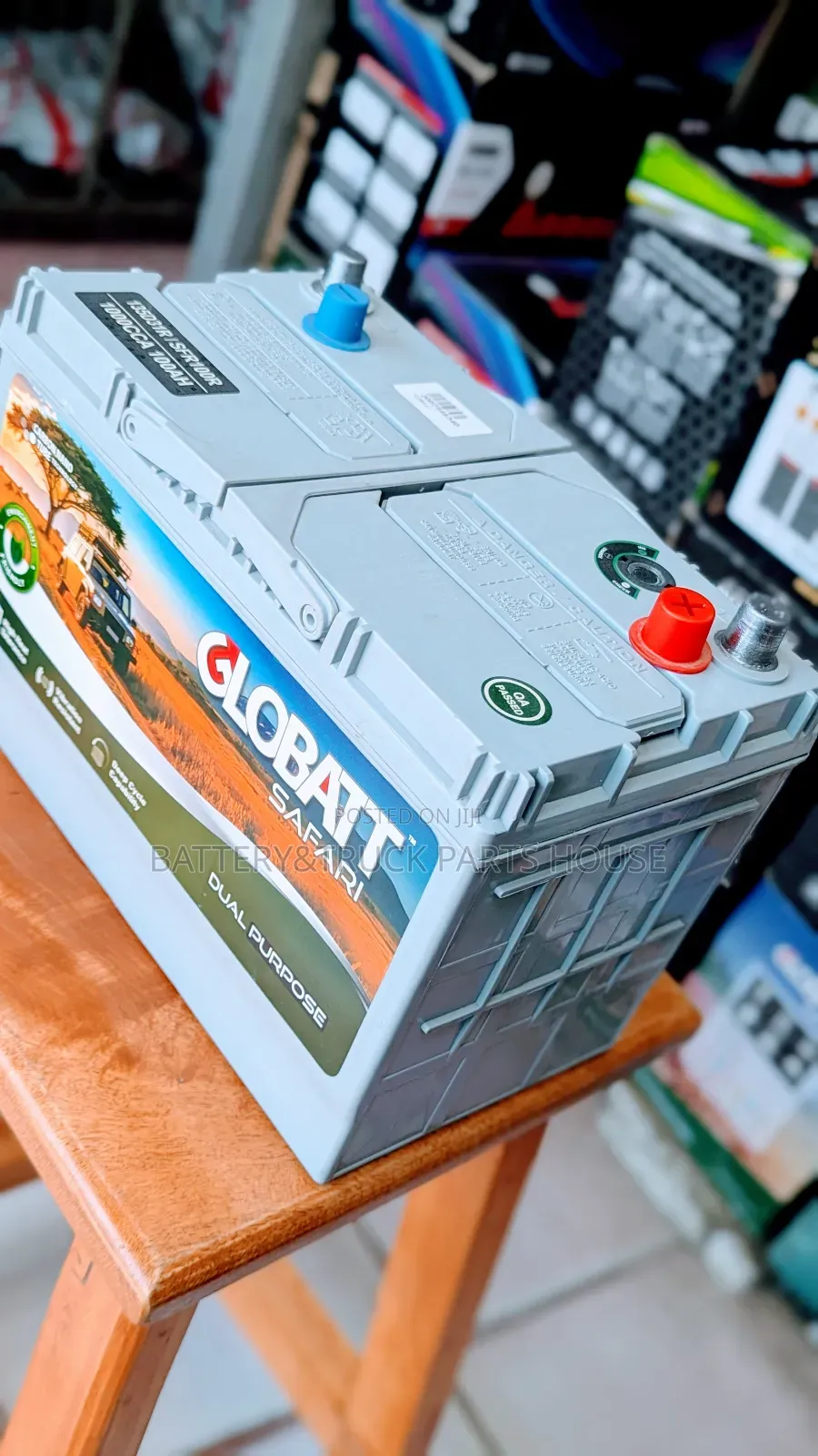 Globatt Battery N100