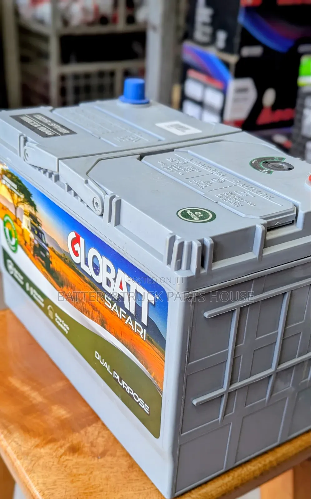 Globatt Battery N100