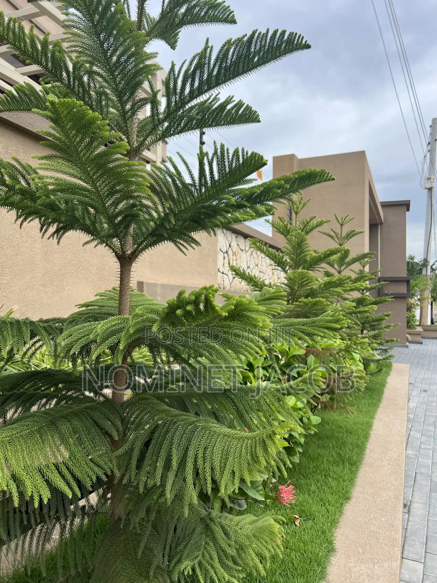 4bdrm House in Mbezi Beach Masana for sale