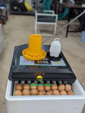 64 Incubator 2026